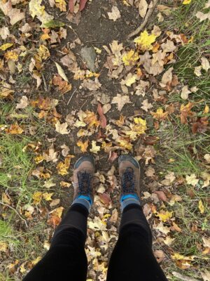 Looking down at a pair of legs and feet in brown hiking boots on a hiking trail that has colourful maple leaves scattered across it.
