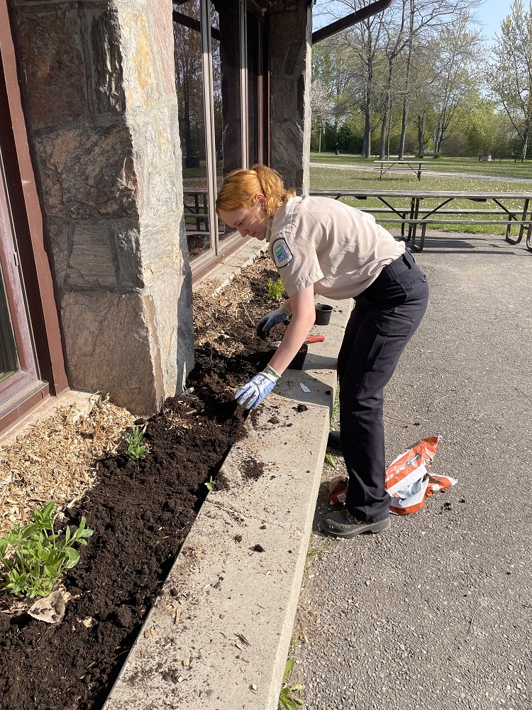 staff planting on side of building