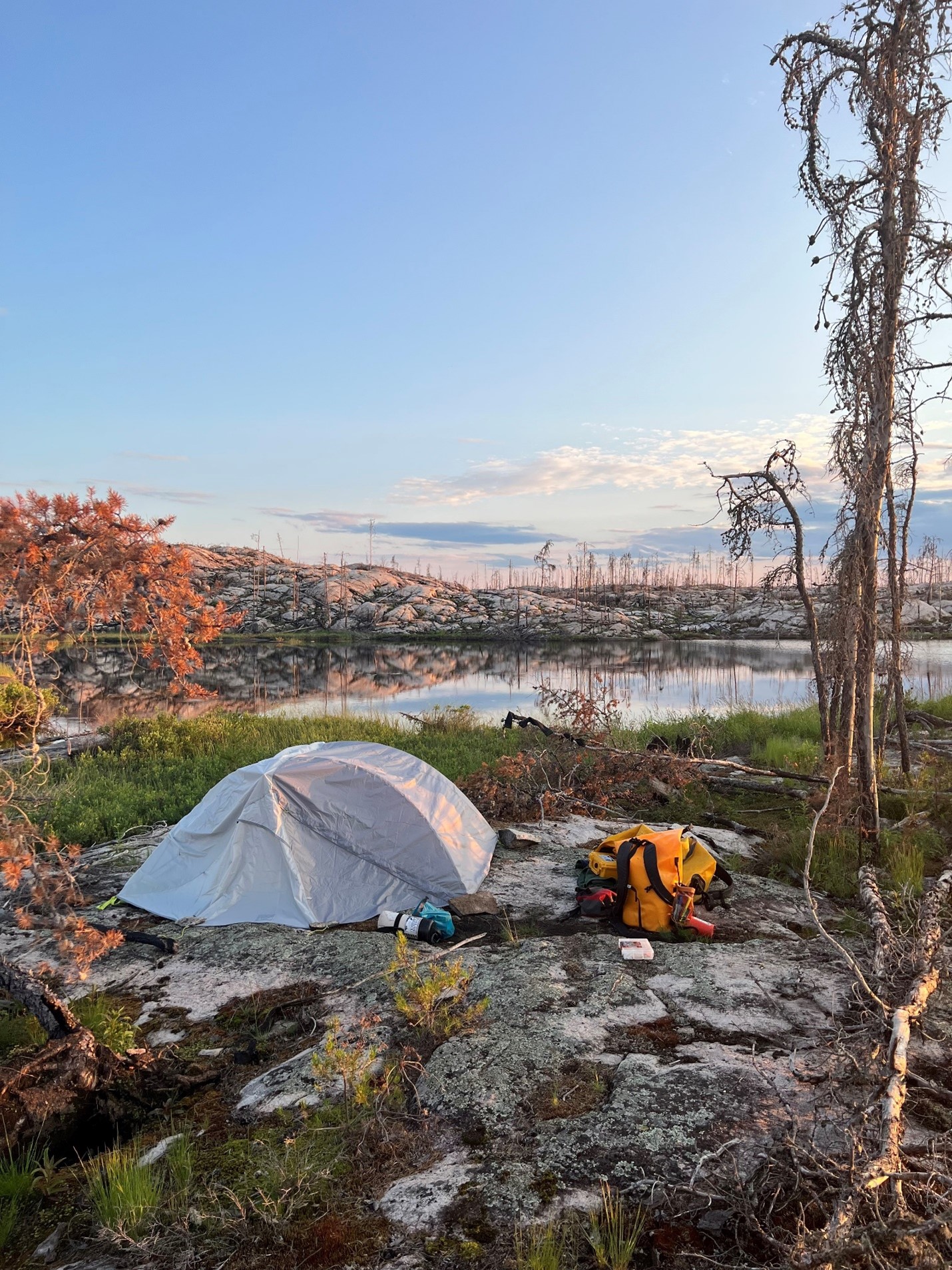tent on campsite