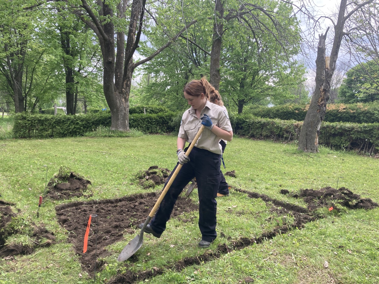 Une employée de Parcs Ontario utilise une pelle pour arracher l'herbe afin de faire une planche de jardin.