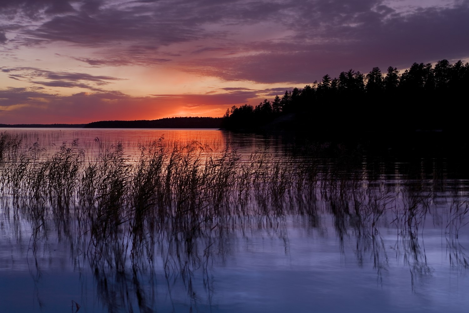 Un lac indigo avec des roseaux au premier plan. Au loin, le soleil se couche, donnant au ciel des teintes d’orange, de mauve et de violet. La silhouette d'un littoral se trouve sur la droite.