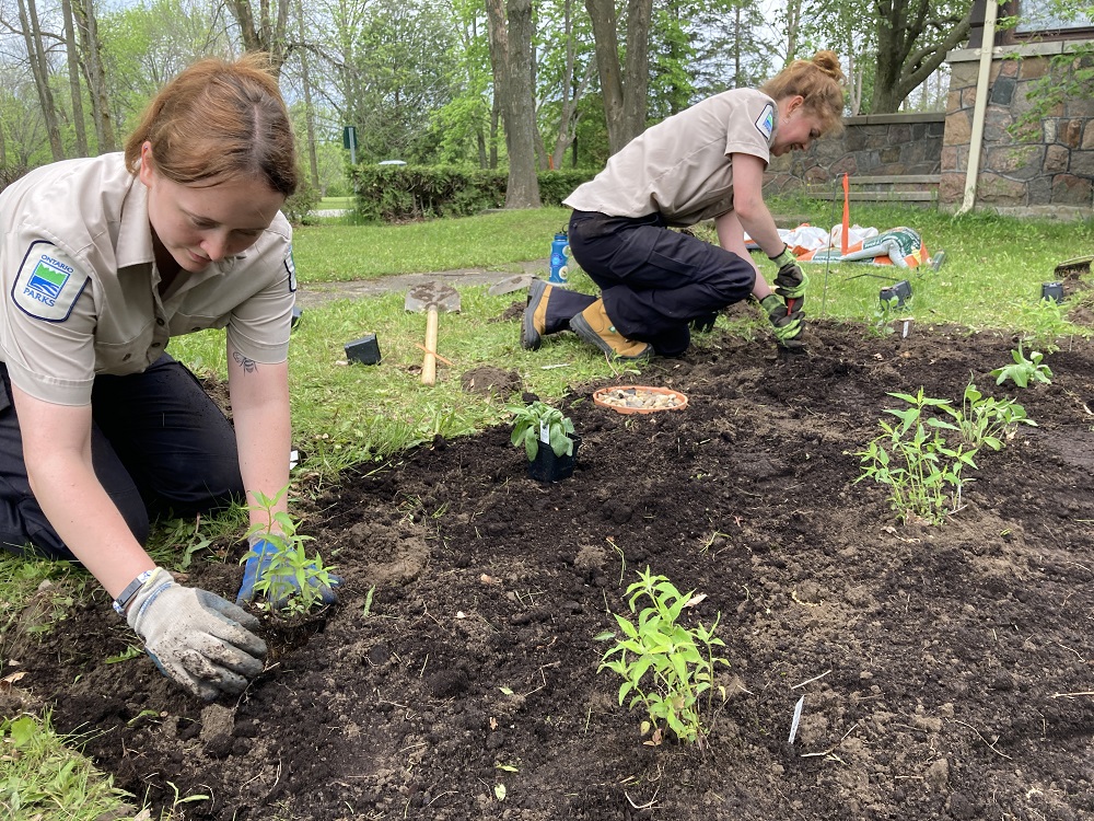 Employés plantant un jardin