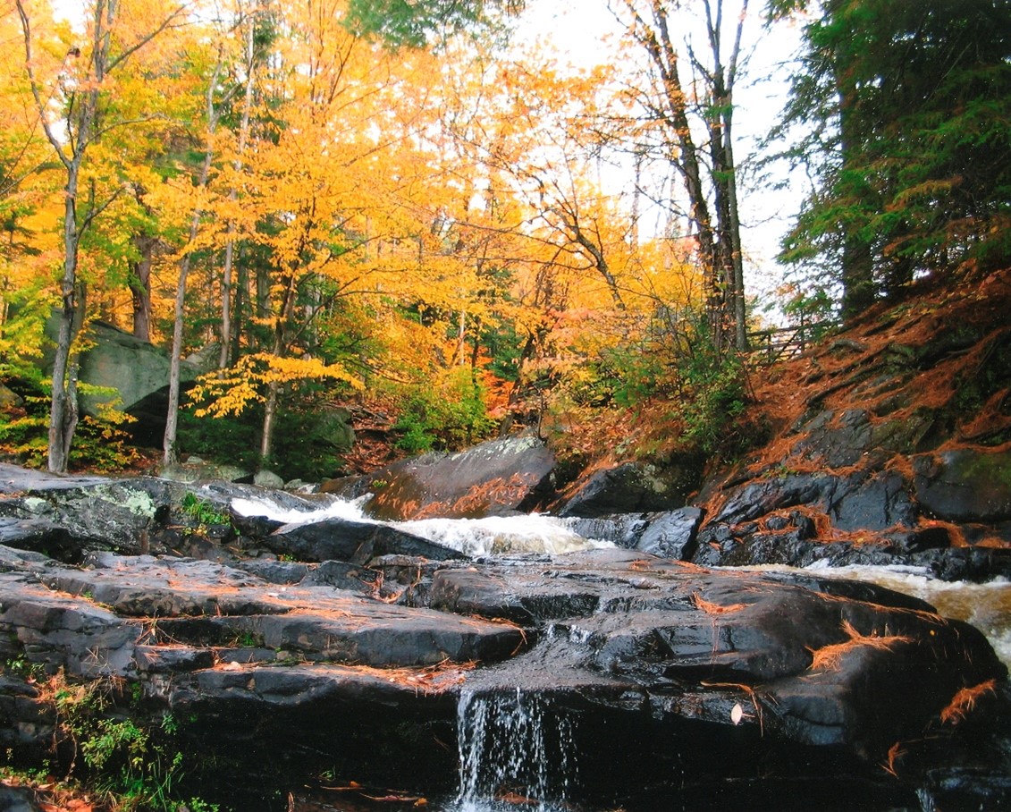 fall colours over waterfall