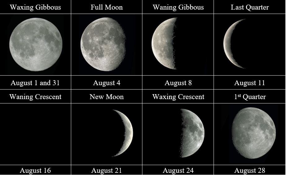 lunar phases
