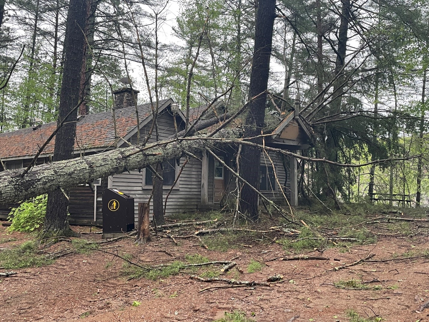 A large fallen tree resting on the roof of a park building