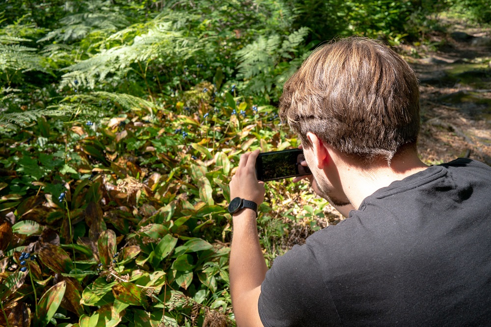Un homme prenant une photo d’une plante 