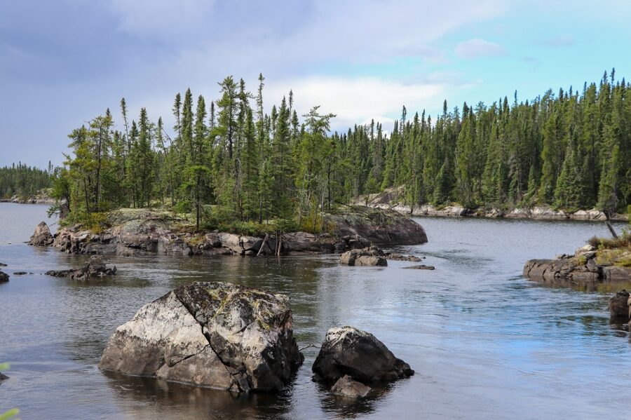 rochers dans une rivière d’une forêt du nord