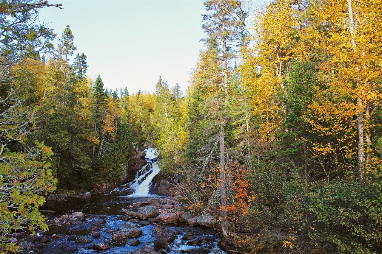 A low waterfall leading to a rocky riverbed surrounded by tall trees in autumn colours