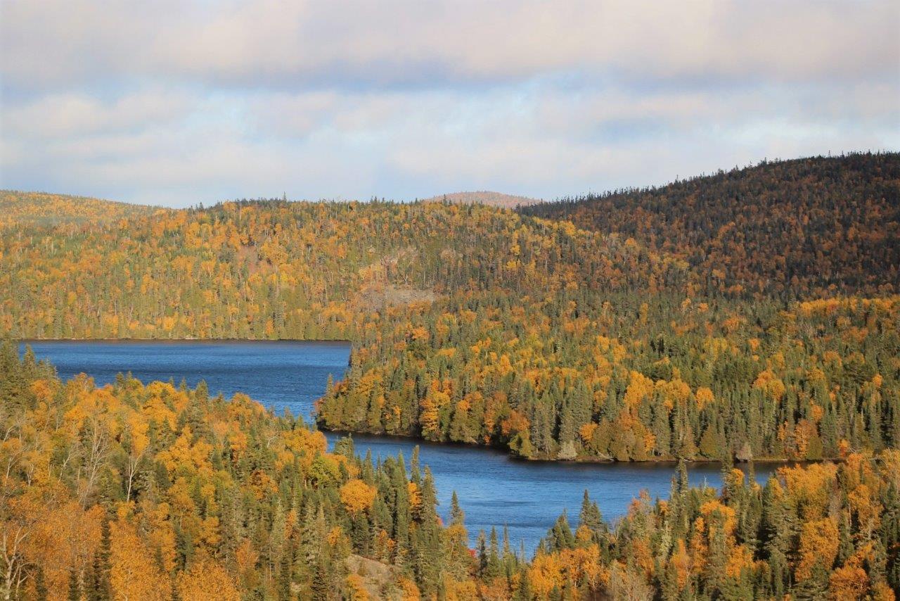 Slivers of an indigo lake surrounded by thick forest, changing colour for the fall
