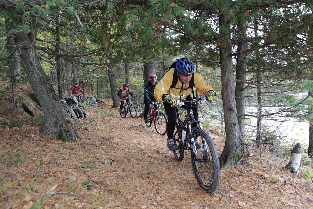 group mountain biking in forest