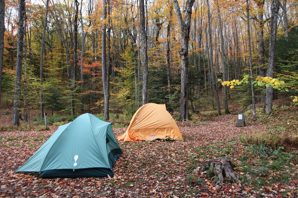 deux tentes sur des emplacements de camping avec une couverture de feuilles mortes
