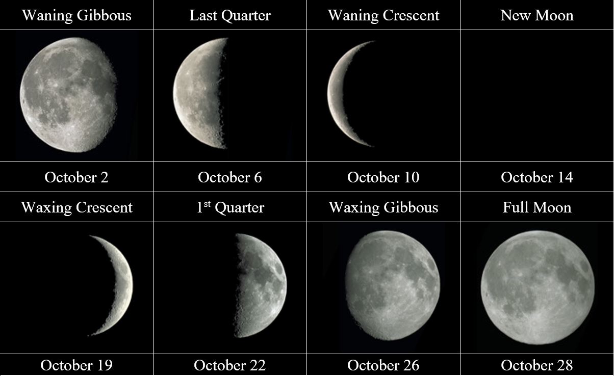 lunar phases in chart