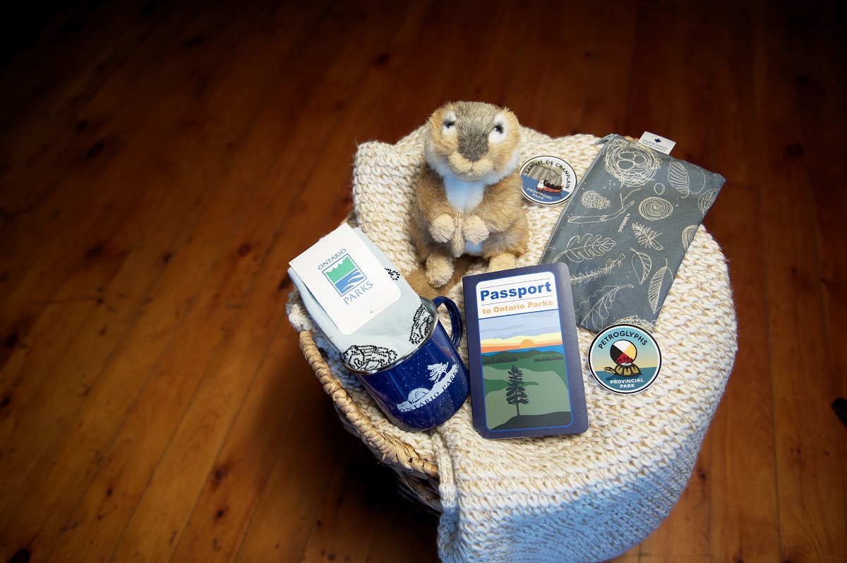 products laid out on chair (stuffie, passport, sticker)