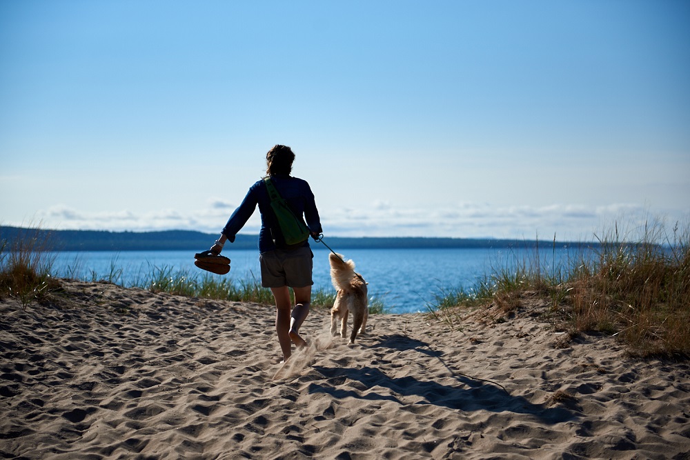 person walking dog near beach