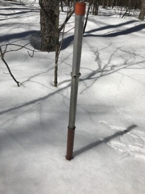 A metal pole standing on top of snow in a forest