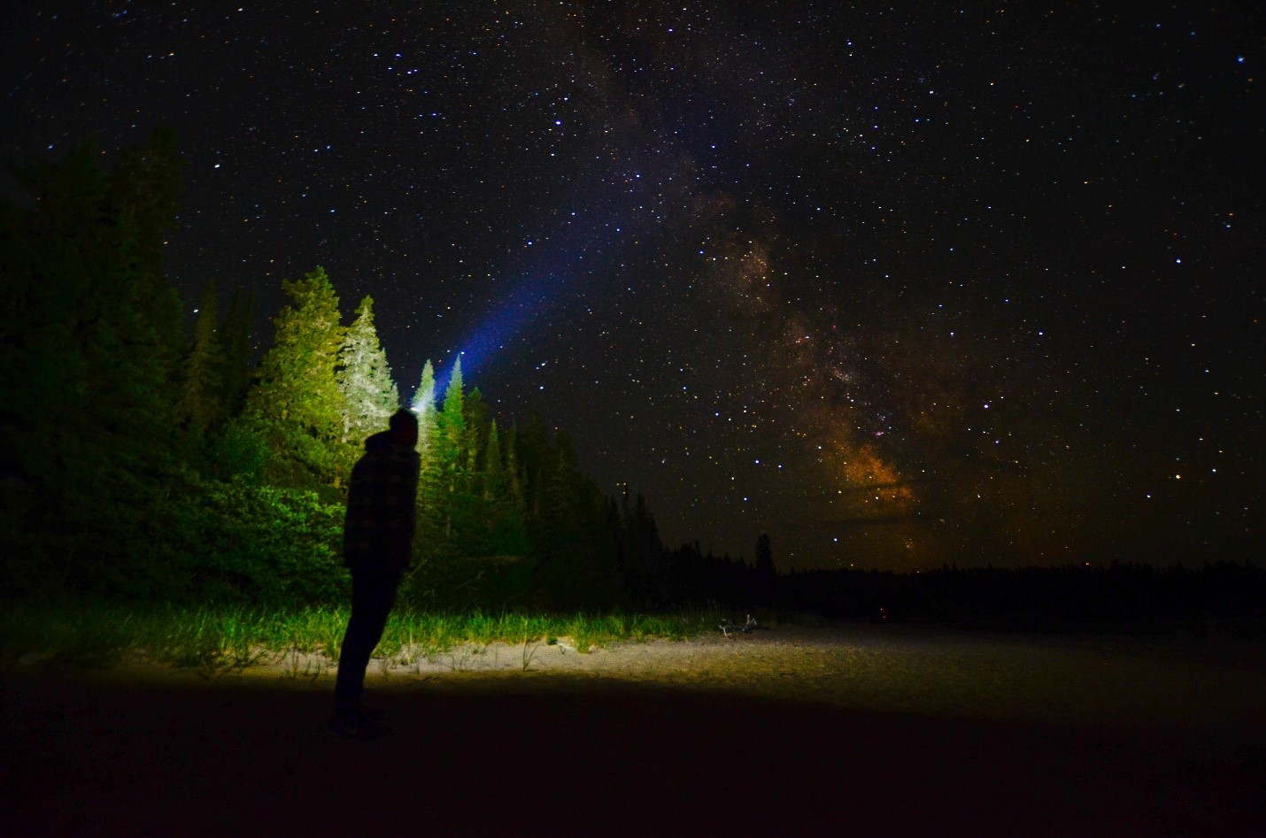 A person standing at the edge of a forest at night, shining their flashlight up towards a star-filled sky