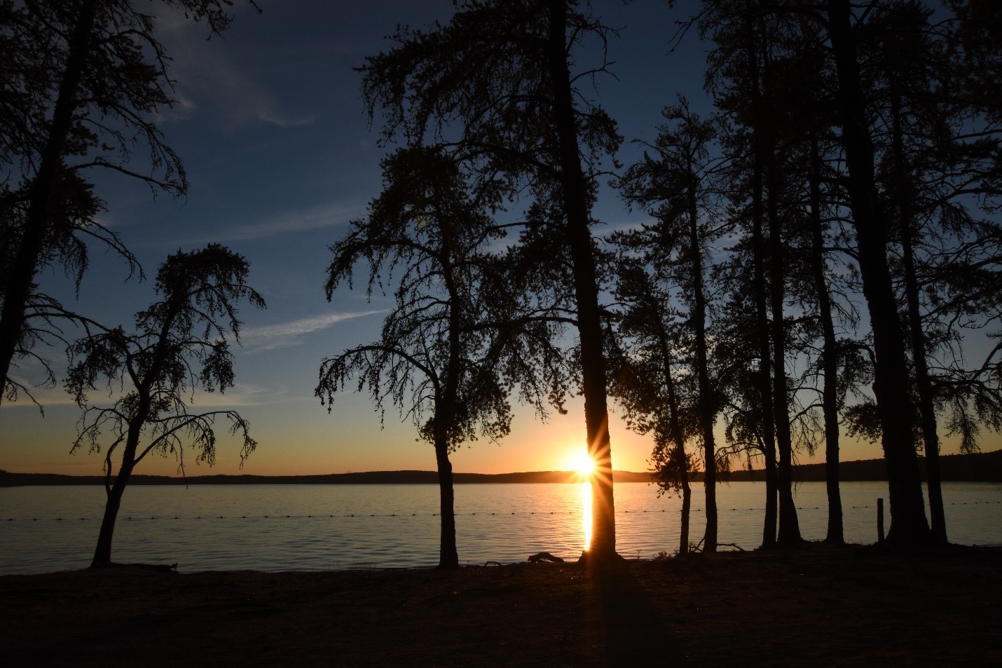 Grands arbres à feuilles persistantes dont la silhouette se dessine en avant-plan du coucher de soleil sur un lac.