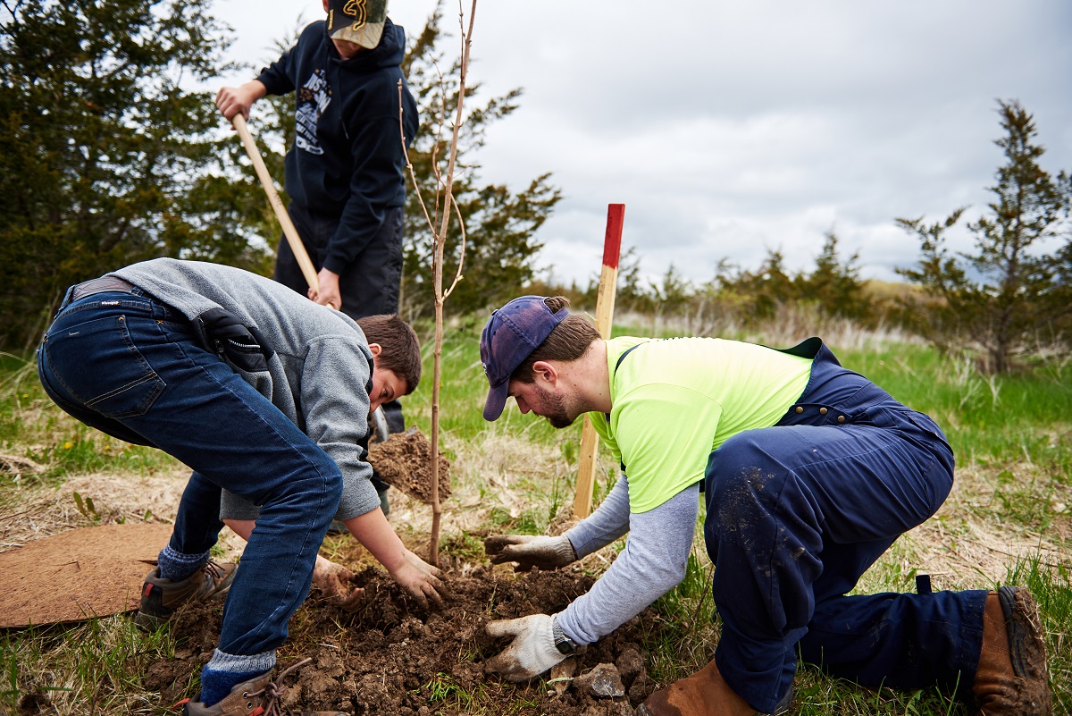staff and volunteers planting a tree