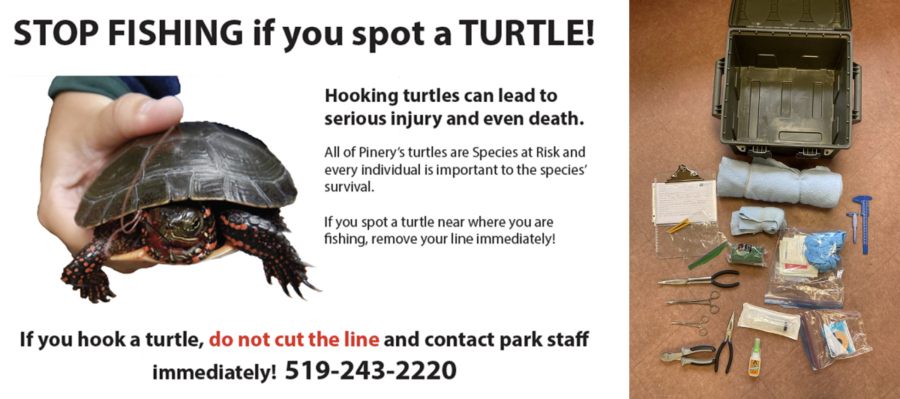 Image 1: Sign conveying 1) turtles are a species at risk and the survival of every individual matters, 2) clear instructions on how to avoid hooking turtles, and 3) how to respond in the event of an accidental hooking Image 2: Contents of turtle trauma kit