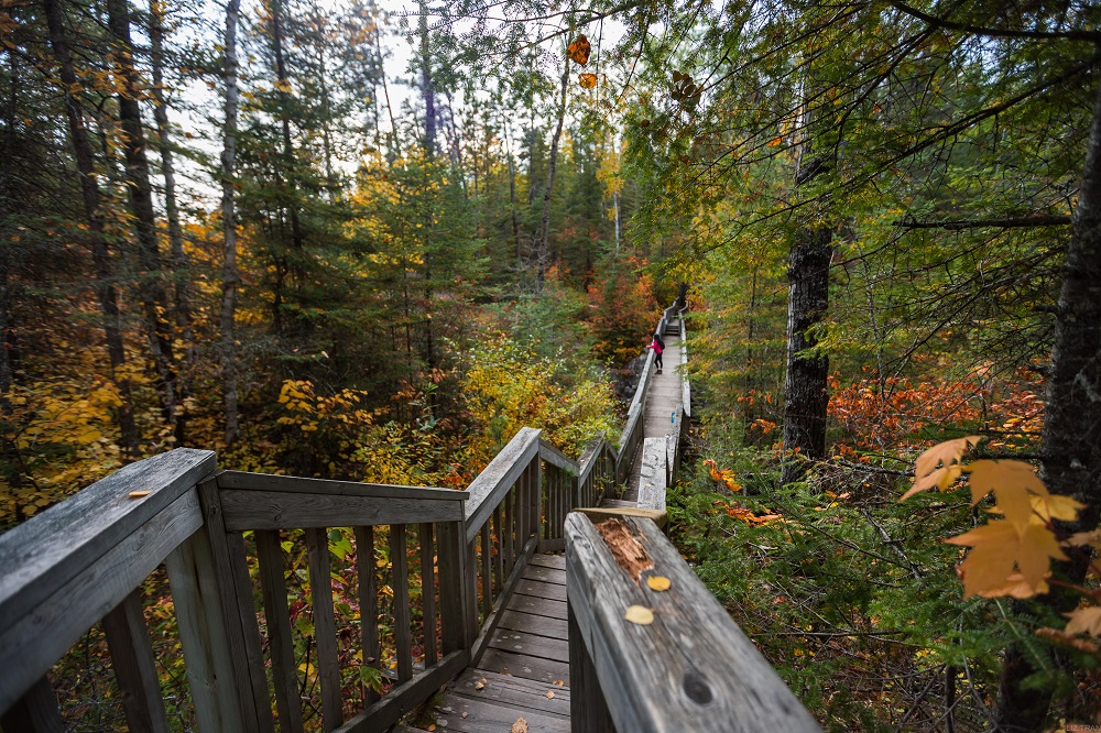 fall hike down stairs through forest