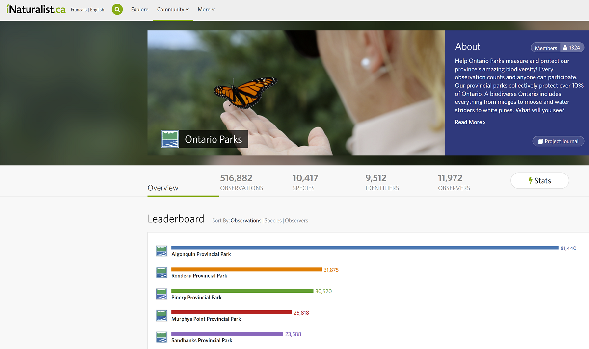 screencap of inaturalist leaderboard, showing Algonquin at the top
