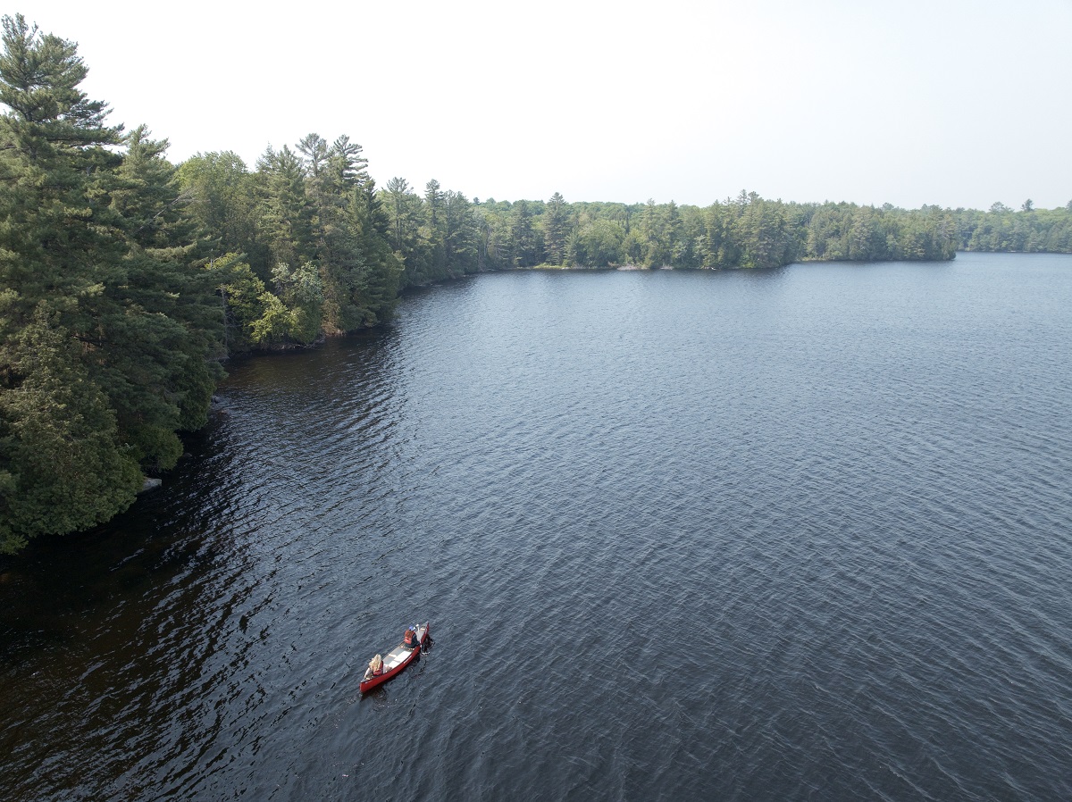 aerial shot of a canoe on a lake surrounded by evergreen forest