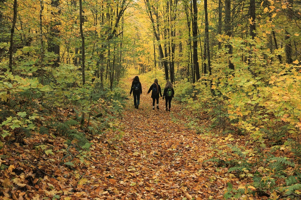 group hiking in the fall
