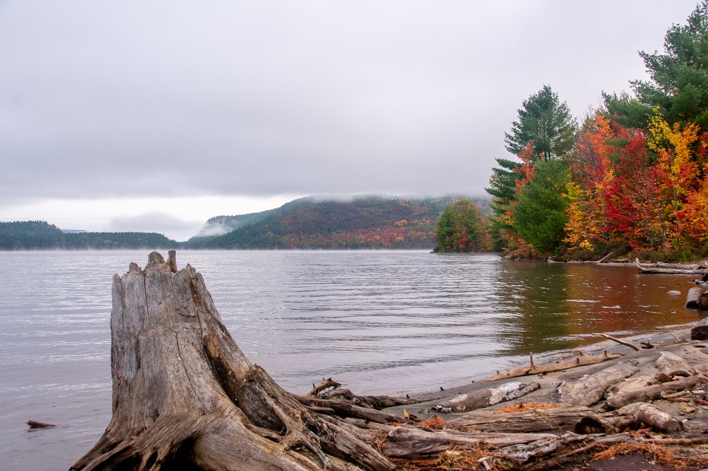 view of shoreline around lake with fall colours