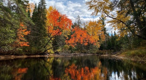 Planning to visit us during fall colours? Start here.