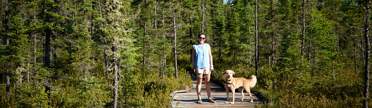 Dog and owner walking on trail