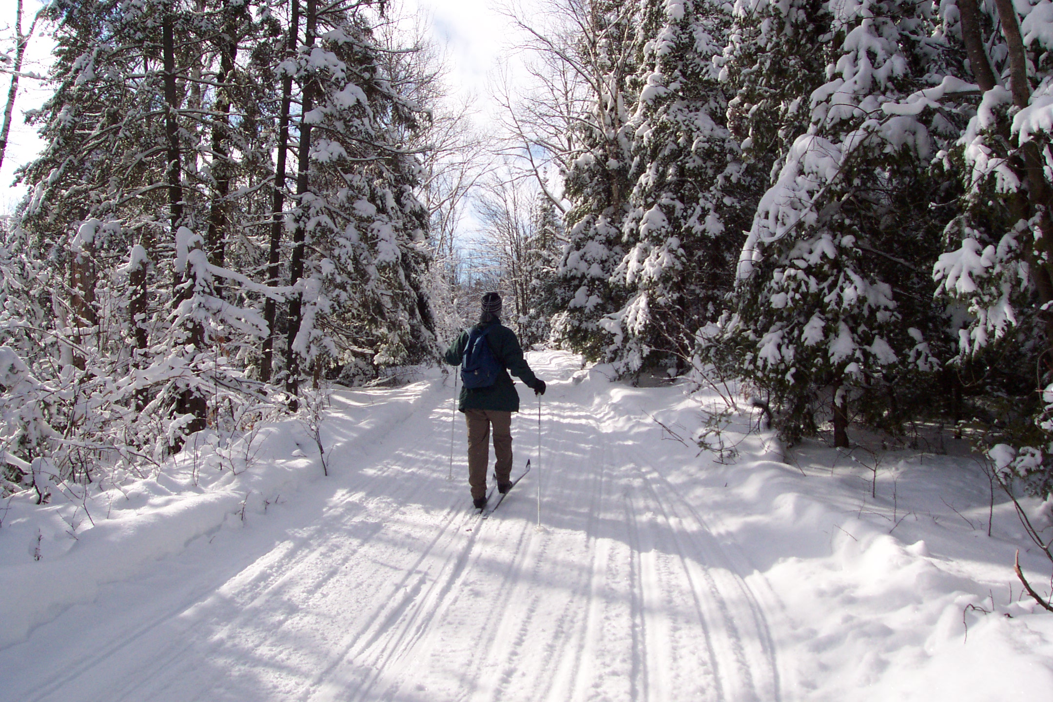 person skiing in Kawarthat highlands Provincial Park