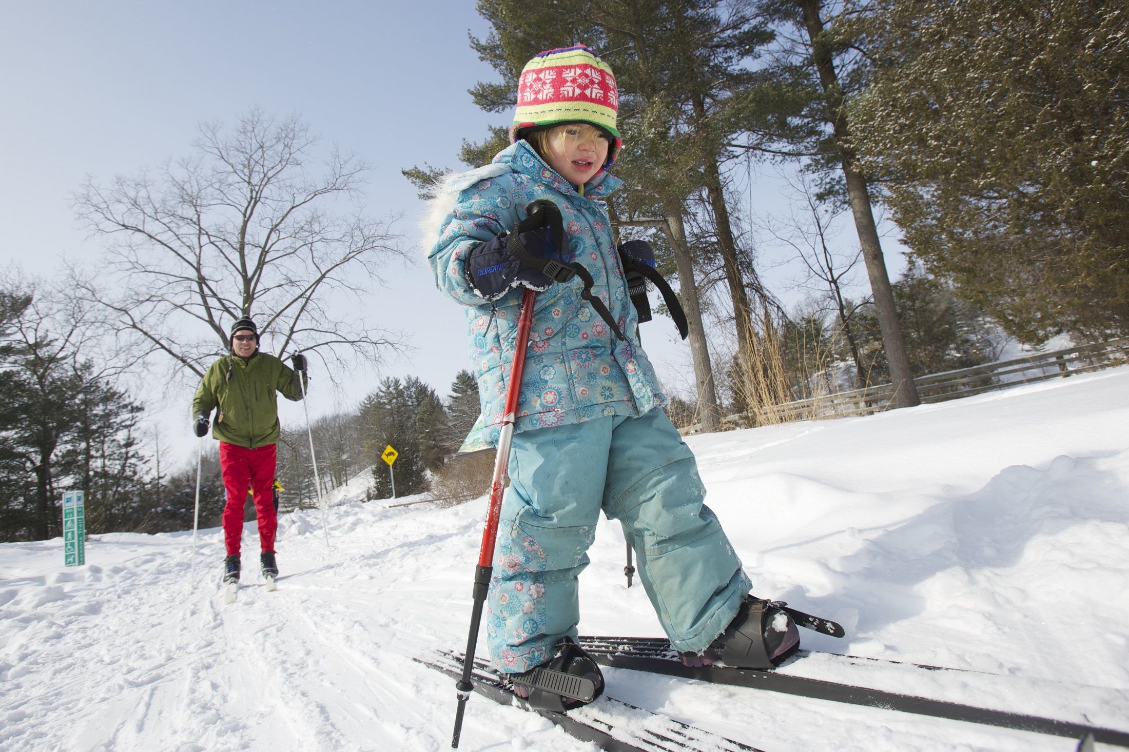 child and adult skiing in Pinery Provincial park