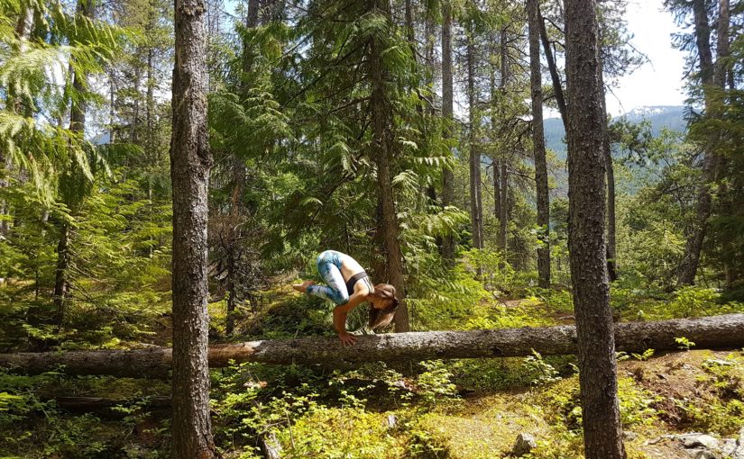 Le meilleur tapis de yoga? Le sol forestier de Parcs Ontario!