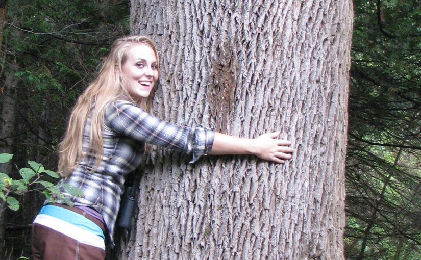 Le campeur attentionné : préserver la santé de nos arbres