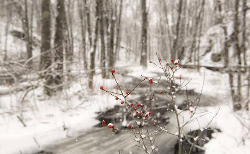 Plaisirs d’hiver dans le Sud-Est de l’Ontario