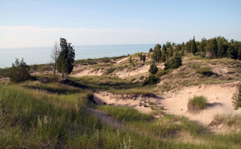 Des dunes dynamiques au parc provincial Pinery