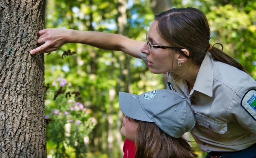 Employée de Découverte Parcs Ontario et jeune enfant observant un arbre.