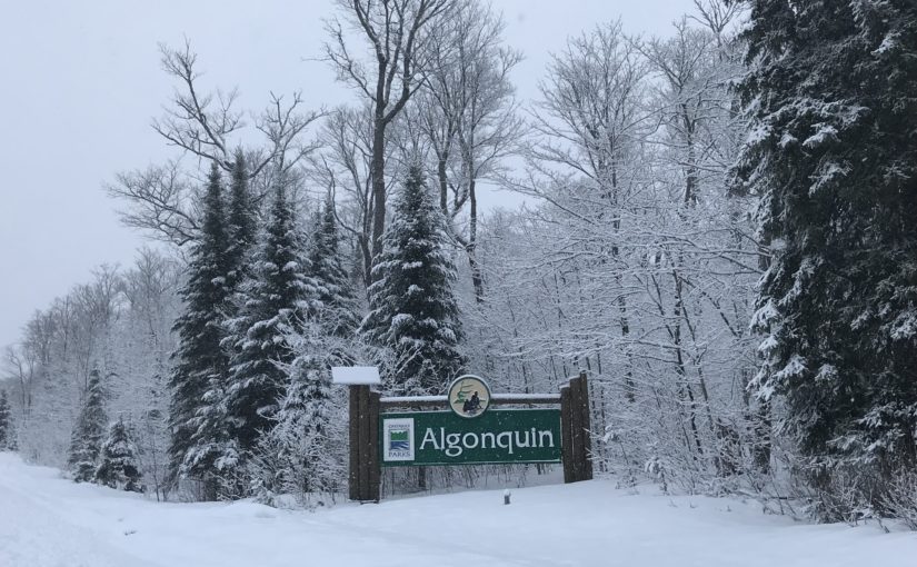 Panneau d'entrée du parc Algonquin en hiver
