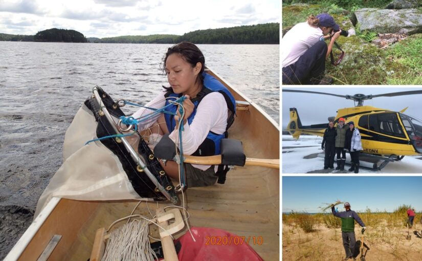 Collagge of women doing science in provincial parks.