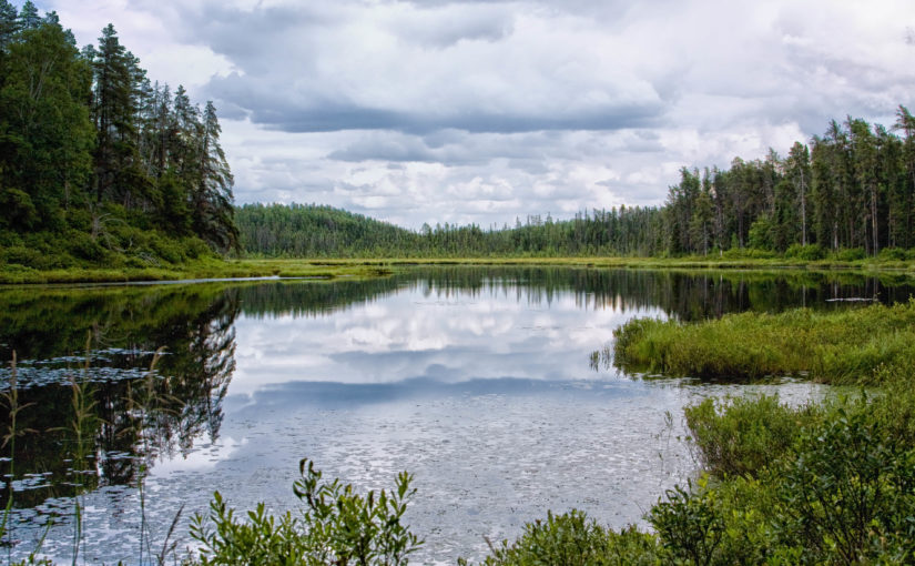 Vue du sentier Lonesome Bog sur le lac Sausage au parc provincial Esker Lakes.