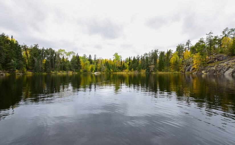 ondulations sur un lac avec une forêt d'automne sur la rive éloignée
