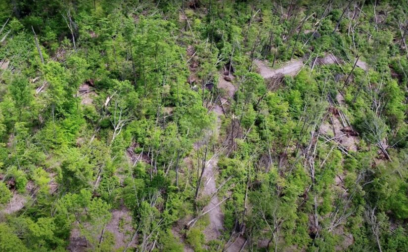 Vue aérienne de la destruction laissée par le dérécho de mai 2022 montrant une forêt avec de nombreux arbres couchés sur le sol.