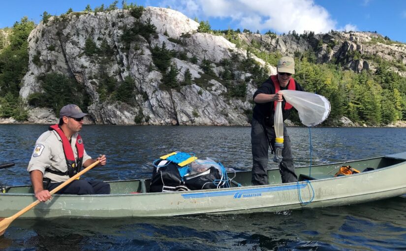 Deux chercheurs de Parcs Ontario dans un canot. L’un est assis et rame. L’autre est debout et tient un outil de mesure de recherche à laisser tomber dans l’eau.