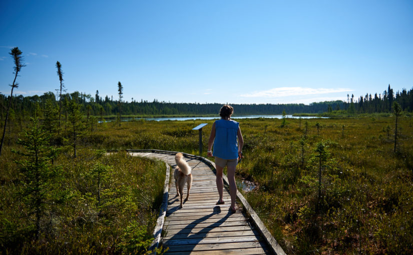 Woman with on-leash dog at Fen Lake Trail, Blue Lake,