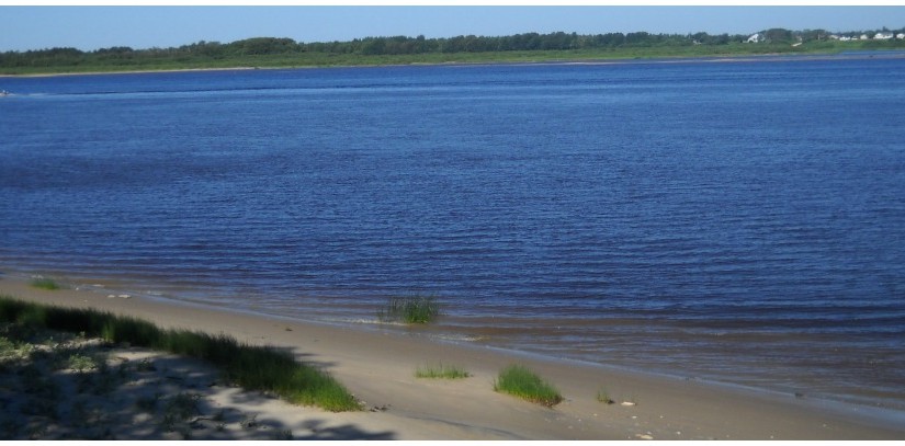 Experience Tidewater Provincial Park
