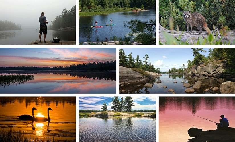 Grundy Lake Photo Contest winners 2015
