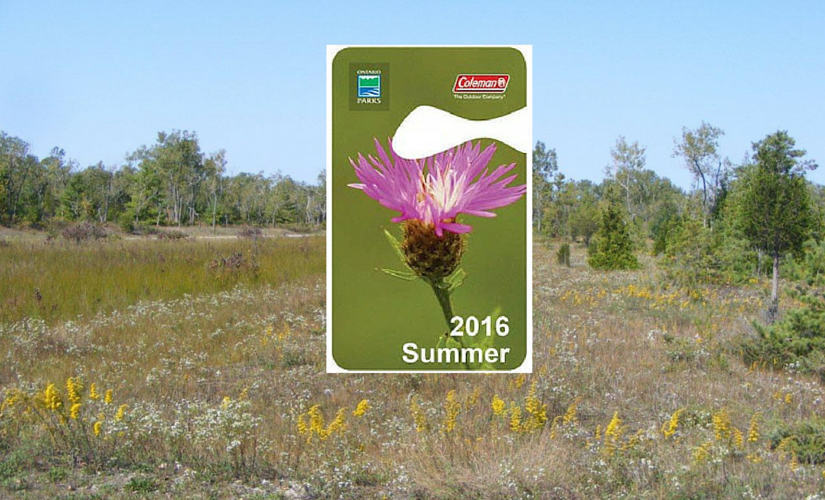 Our 2016 parks pass is more than just a pretty flower