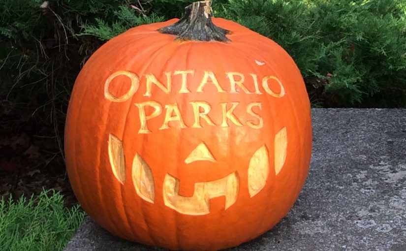 Ontario Parks carved into a pumpkin.