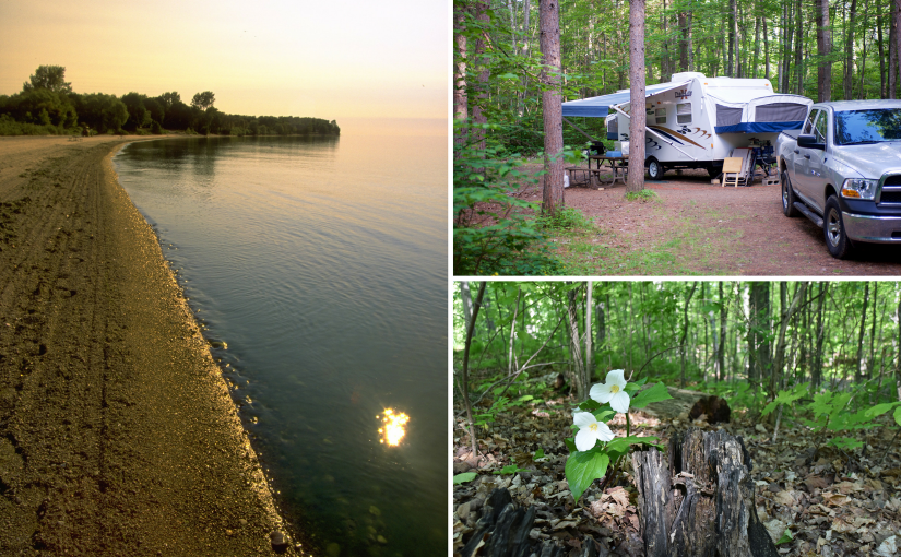 Campsite vacancy highlights: May 19-22
