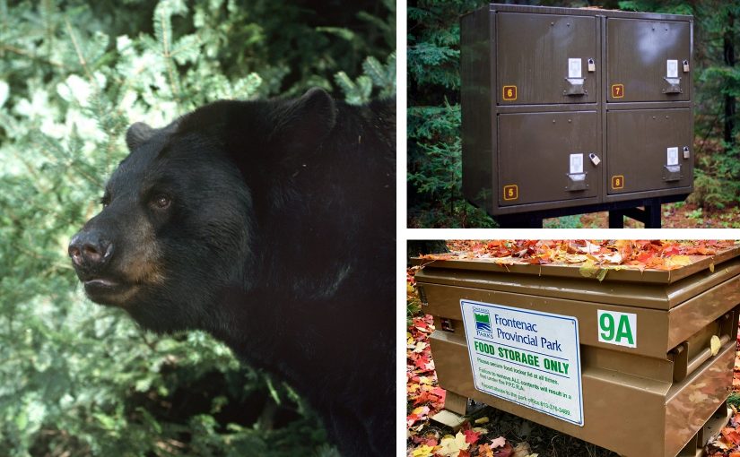 Bear Resistant Food Lockers